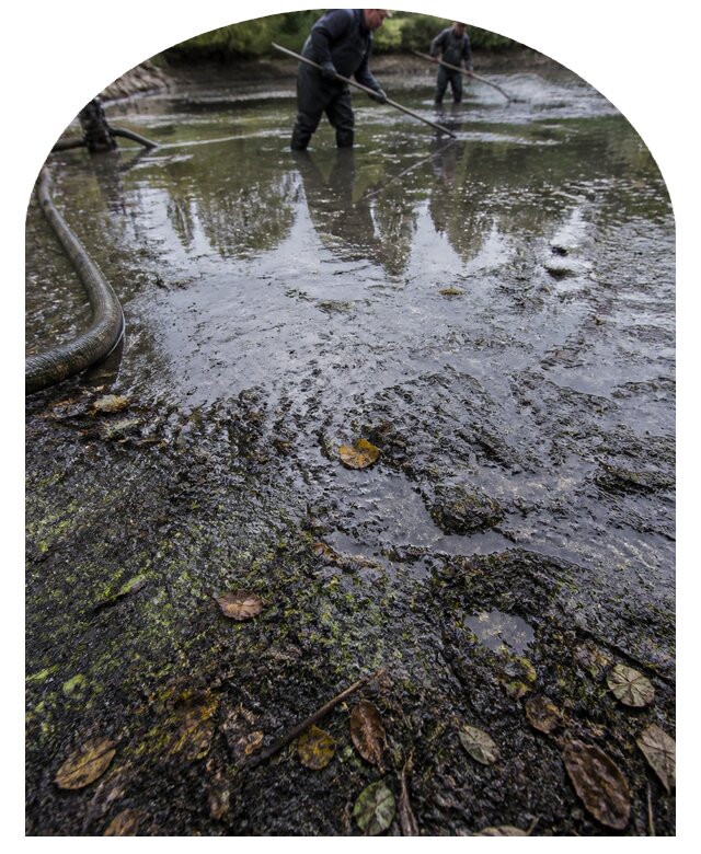 Очистка пруда в Киржаче от ила мусора и водорослей с вывозом